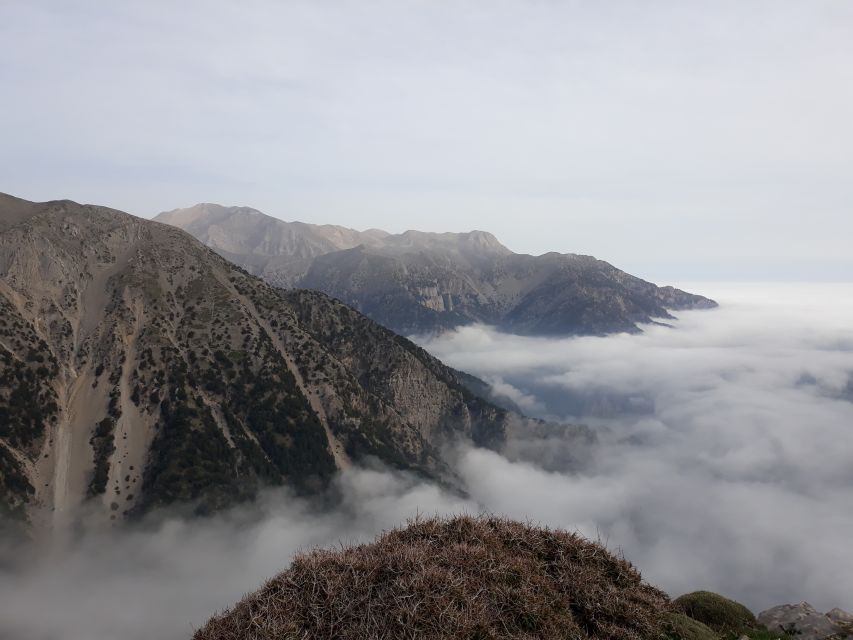 Chania: White Mountains Safari Tour with Lunch and Tastings - Ano Vouves: the 3,000 to 5,000-year olive tree and a real village stop