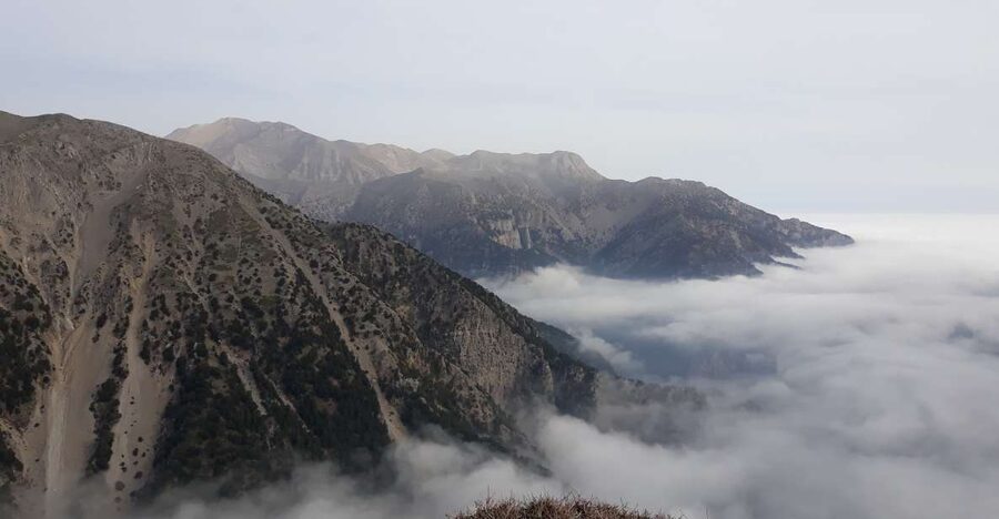 Chania: White Mountains Safari Tour with Lunch and Tastings - Jeep driving and off-road routes: why the ride is the point