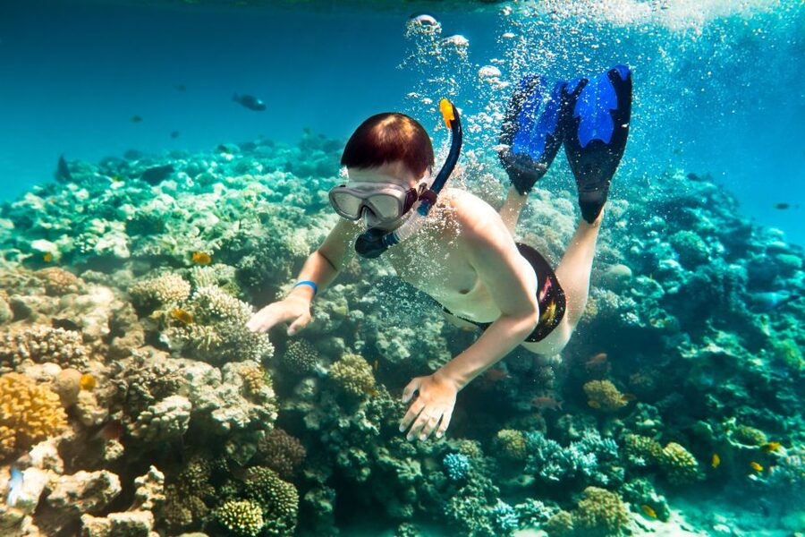 Corfu: Day Cruise to the Blue Lagoon with Visit to Syvota - Syvota on the mainland: fishing village energy with 1 hour 45 minutes to roam