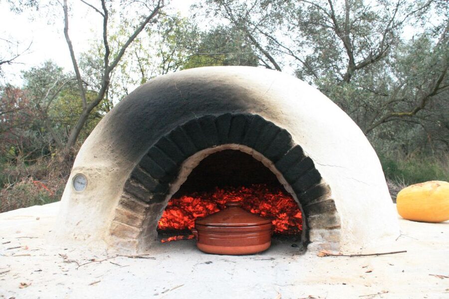 Corfu: Greek Cooking Class & Olive Oil Tasting - Should you book Corfu Greek Cooking Class and Olive Oil Tasting?