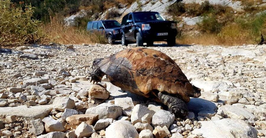 Corfu: Mount Pantokrator Shore Excursion - Riding North Corfu in a 4x4 jeep: what this day really delivers