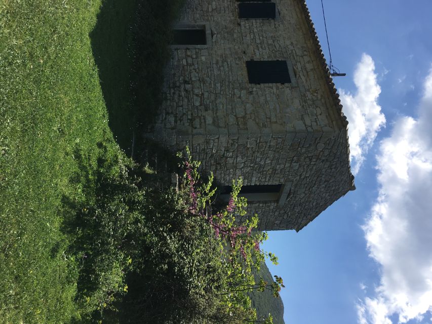 Corfu: Northwest Coast and Village Charms 4x4 Tour - Who this Northwest Corfu 4x4 tour suits best