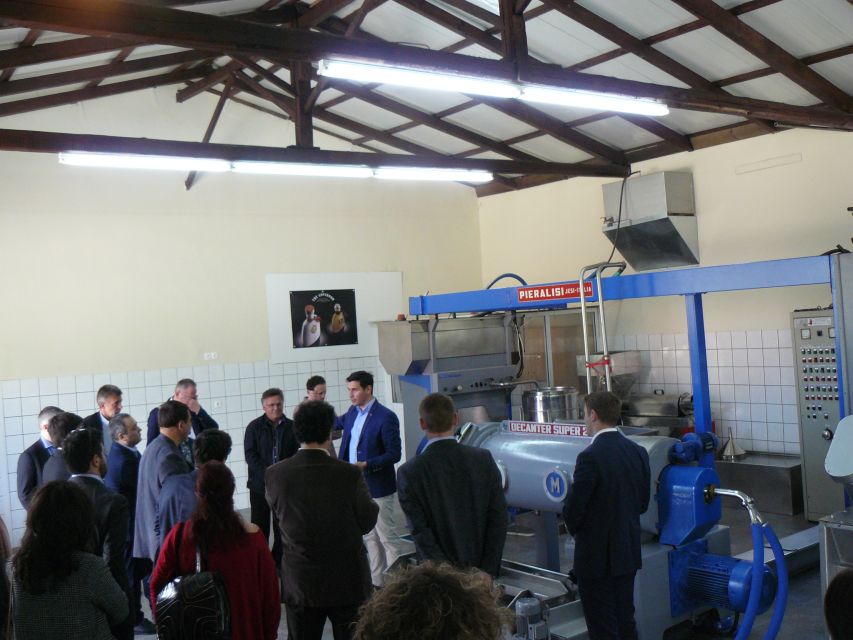 Corfu: Olive Oil Experience - The Governor's Olive Mill - Key highlights worth waking up for