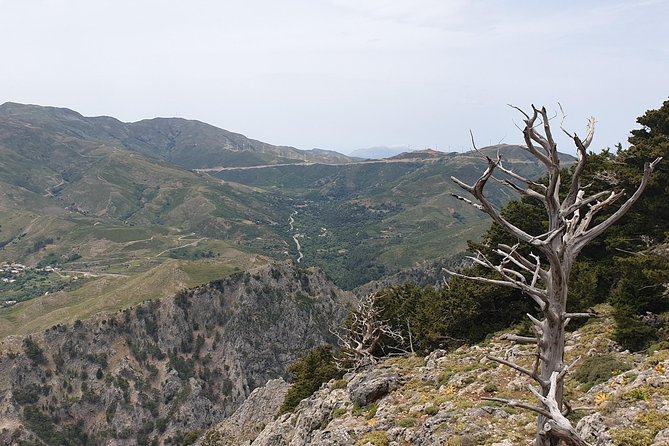 Cretan Safari – 4x4 Adventure to Preveli Beach with Lunch - Why a 4WD Crete safari feels different than buses