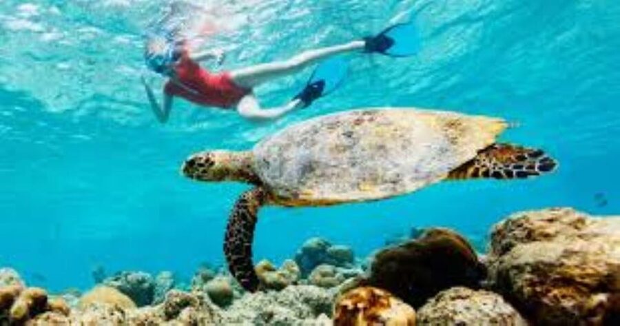 Crete: Coastline Snorkeling Cruise from Hersonissos Port - The Most Common Gotchas to Plan Around