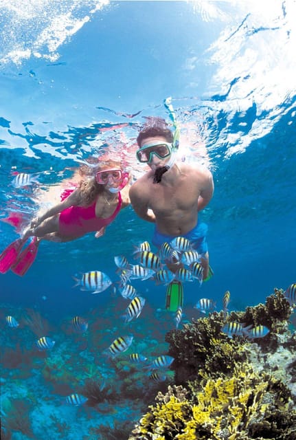 Crete: Coastline Snorkeling Cruise from Hersonissos Port - Saint George Beach and the 45-Minute Swim Windows