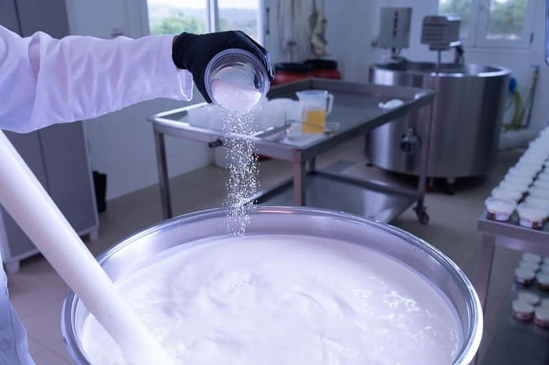 Crete: Farm Visit with Cheese Tasting and Milking Experience - Key things you will remember from this Crete farm visit