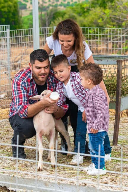 Crete: Farm Visit with Cheese Tasting and Milking Experience - Goat and sheep milking: hand work, modern equipment, and real confidence