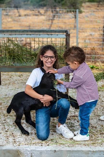 Crete: Farm Visit with Cheese Tasting and Milking Experience - The playground factor: why this is a family-friendly stop