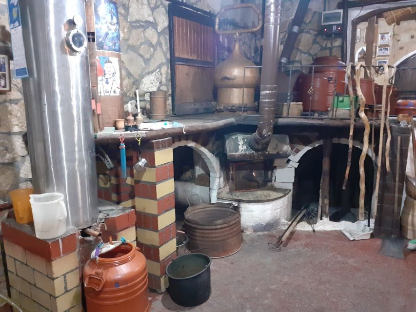 Crete: Full-Day Cretan Wines, Olive Oil, Raki and Food Tour - Olive grove and olive mill: the real start of the oil story
