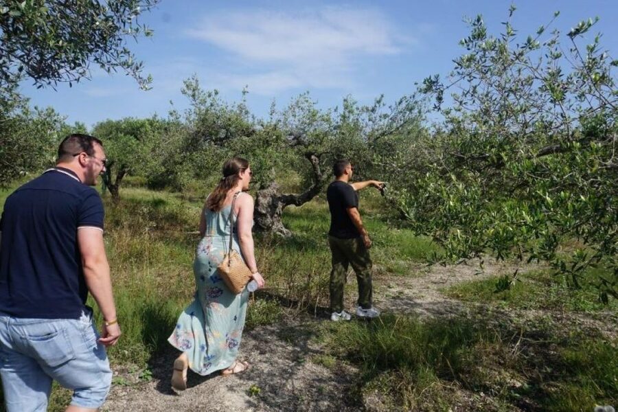 Crete: Full-Day Cretan Wines, Olive Oil, Raki and Food Tour - Rakokazano and the ancient wine press: where raki takes center stage