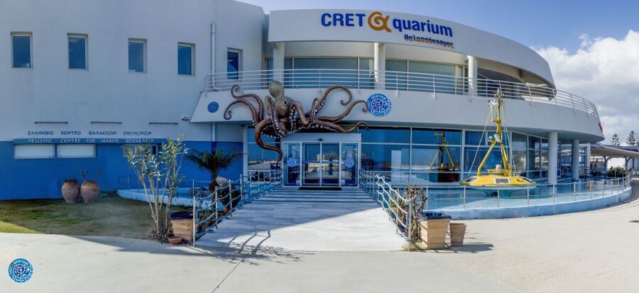 Crete: Heraklion Center, Local Market and Creta Aquarium - How the Half-Day Flows From Your Pickup Stop