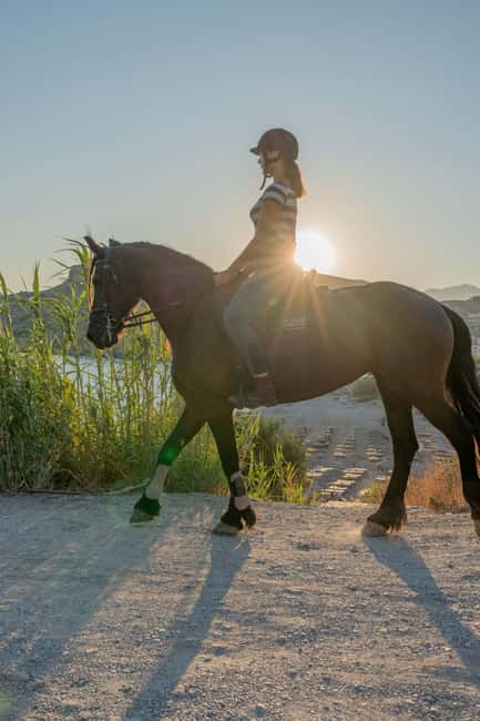 Crete Horse Riding: East Coastline Ride - Olive groves to Damnoni Beach: the route that sets the mood