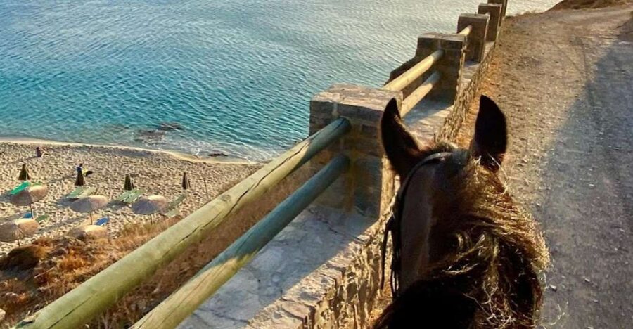 Crete Horse Riding: East Coastline Ride - What is included, and where the value really comes from