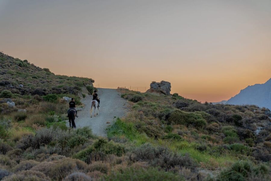 Crete Horse Riding: Mesmerising Sunset Ride - Calm horses, small group energy, and a gentle ride
