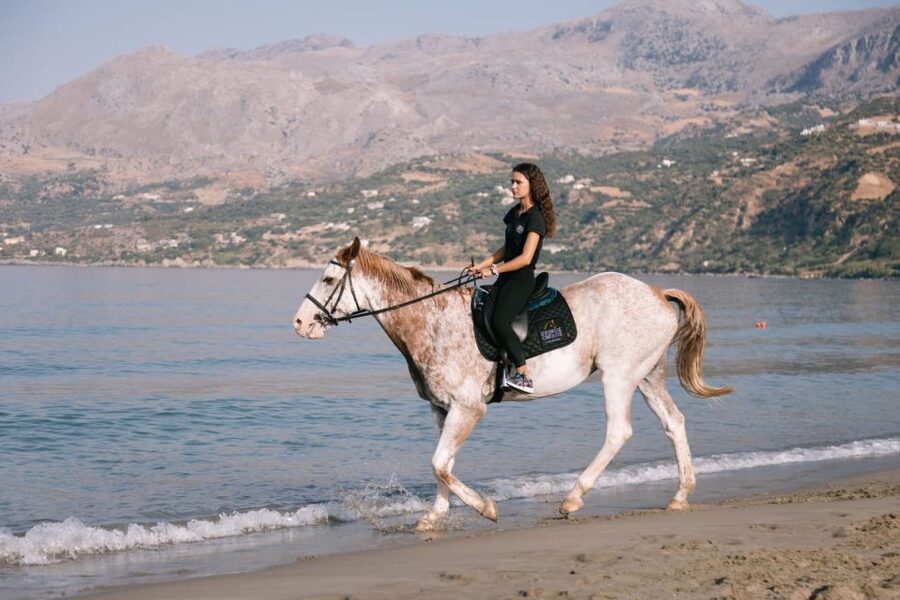 Crete Horse Riding: Plakias Beach Ride - Should you book the Plakias Beach Ride?