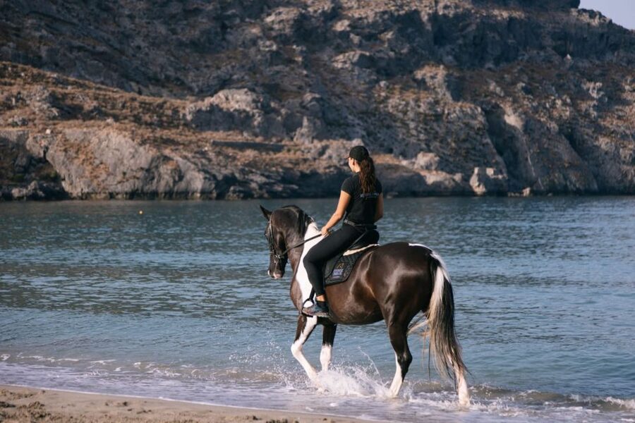 Crete Horse Riding: Plakias Beach Ride - Riding levels, safety gear, and how not to panic