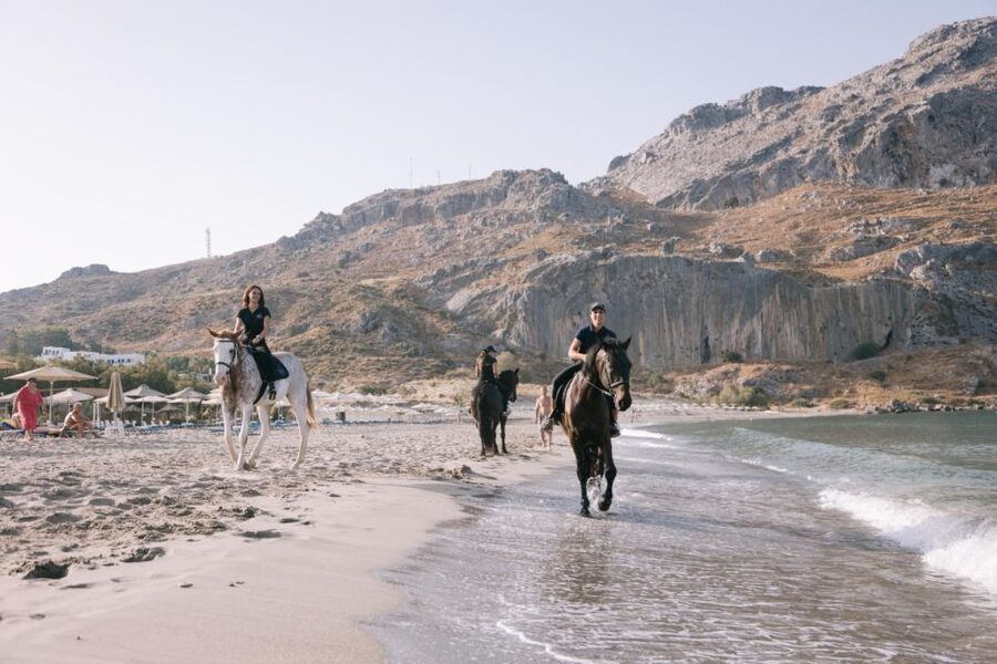 Crete Horse Riding: Plakias Beach Ride - Price and value: is $153 for this beach ride fair?