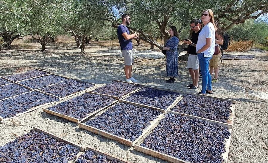 Crete: Knossos Palace, Winery & Olive Oil Tour with Lunch - Traditional village lunch with wine and raki