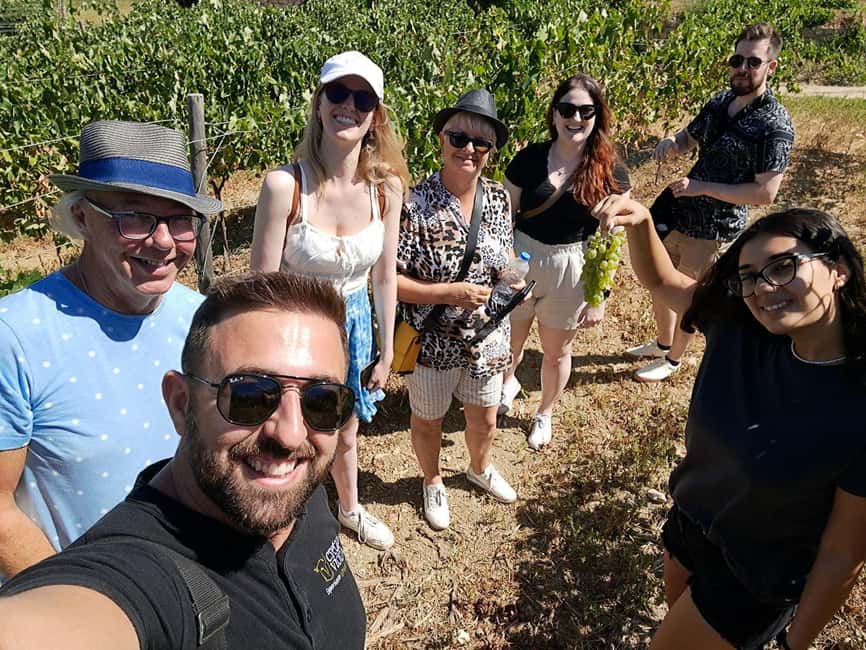 Crete: Knossos Palace, Winery & Olive Oil Tour with Lunch - What type of traveler should book this?