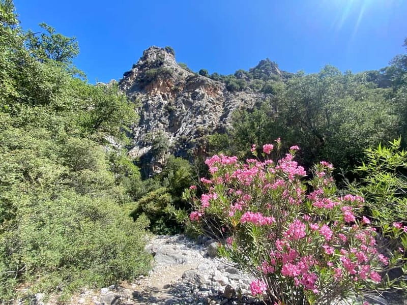 Crete: Kritsa Canyon Guided Hiking Tour - The 4-Hour Kritsa Gorge Walk: Timing, Effort, and Trail Reality
