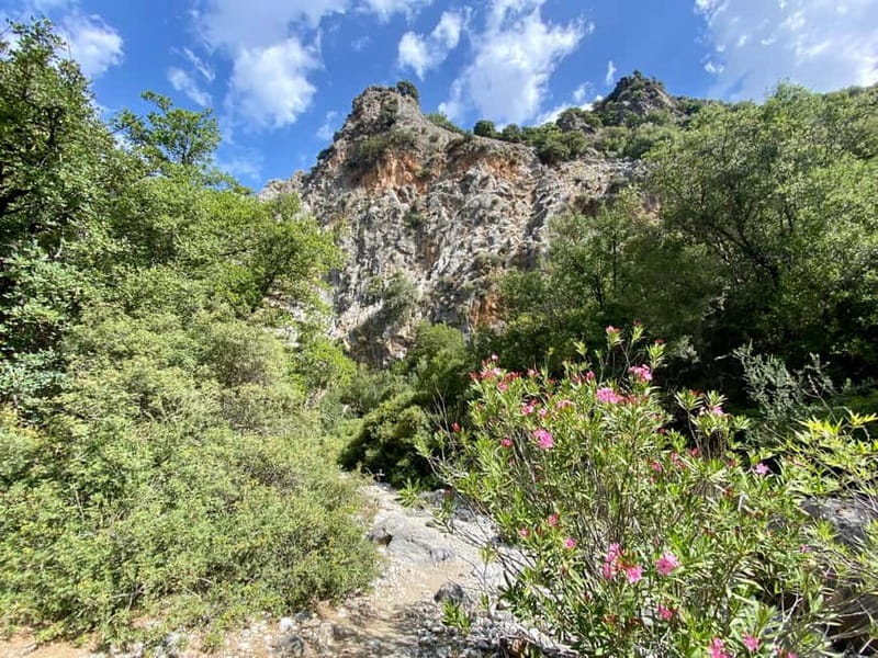 Crete: Kritsa Canyon Guided Hiking Tour - Price and Value: Is $93 Worth a Full Day?