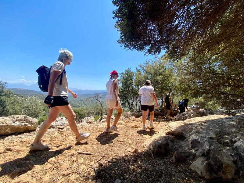 Crete: Kritsa Canyon Guided Hiking Tour - What to Bring (and What Actually Helps on a Canyon Day)
