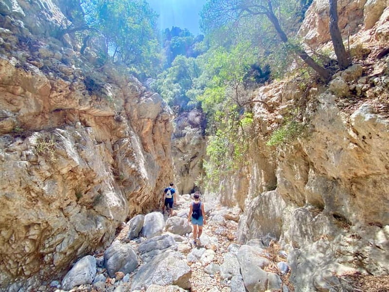 Crete: Kritsa Canyon Guided Hiking Tour - Should You Book Kritsa Canyon with Experiences Crete?