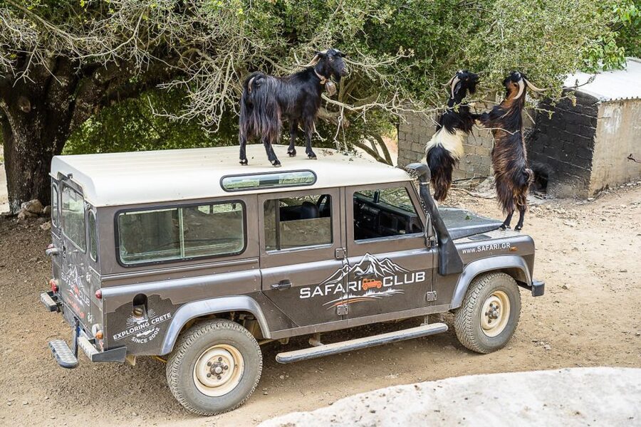Crete: Land Rover Safari on Minoan Route - Key points to know before you go