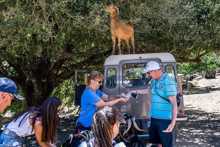 Crete: Land Rover Safari on Minoan Route - Kastamonitsa foothills, raki tasting, and quick village moments