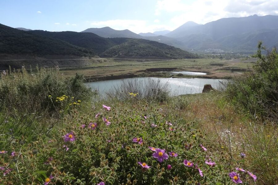 Crete: Land Rover Safari on Minoan Route - Shepherd mitato and mountain cheese: learn, feed, taste