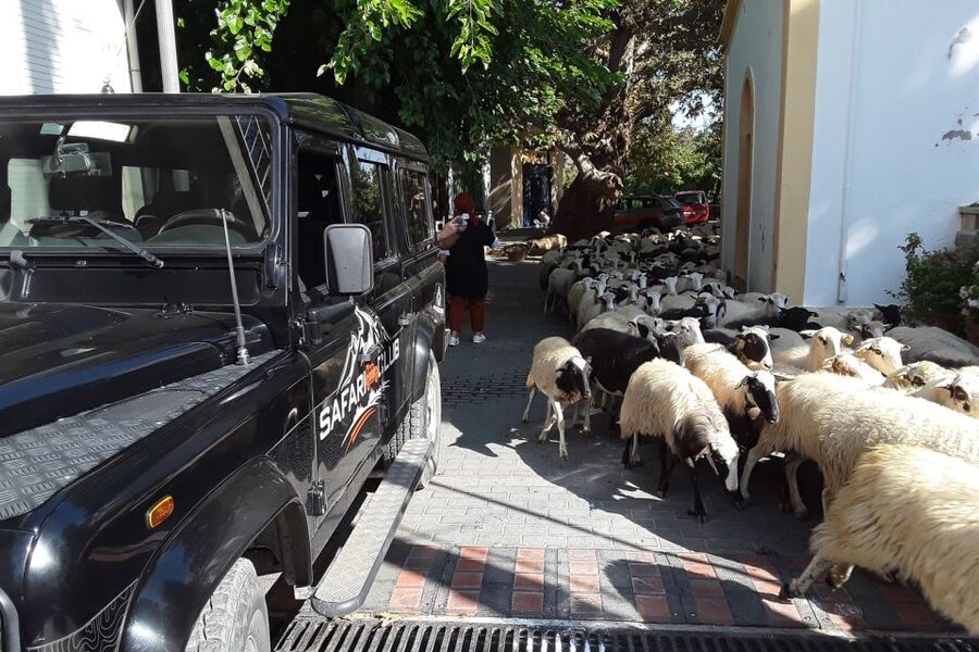 Crete: Land Rover Safari on Minoan Route - Lassithi Plateau bird’s-eye views, donkeys at work, and lunch with unlimited wine