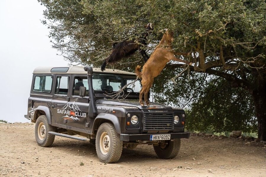 Crete: Land Rover Safari Through the Plateaus - Lassithi Plateau: why this stop feels like a different world