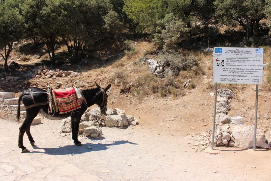 Crete: Land Rover Safari Through the Plateaus - The morning start in Kastamonitsa and what that sets up