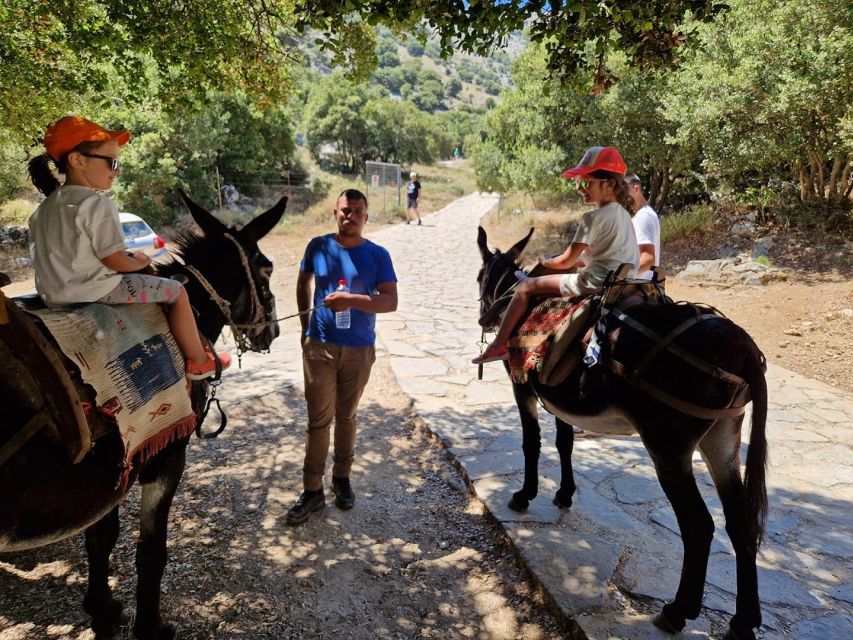 Crete: Lasithi Plateau Zeus Cave Guided Jeep Safari Tour - Shepherd’s farm: the cheese story you can taste