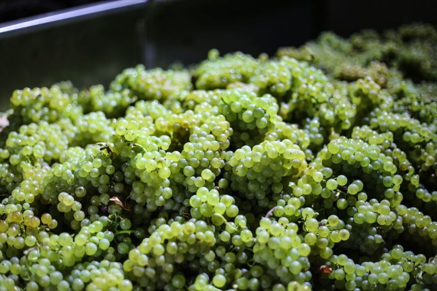 Crete: Olive, Wine, & Raki on a Flavorful Culinary Journey - Quick hits