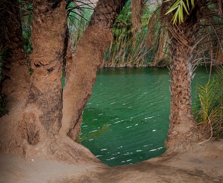 Crete: Preveli Tropical Beach and Palm Forest - Preveli Beach and Palm Forest: the payoff