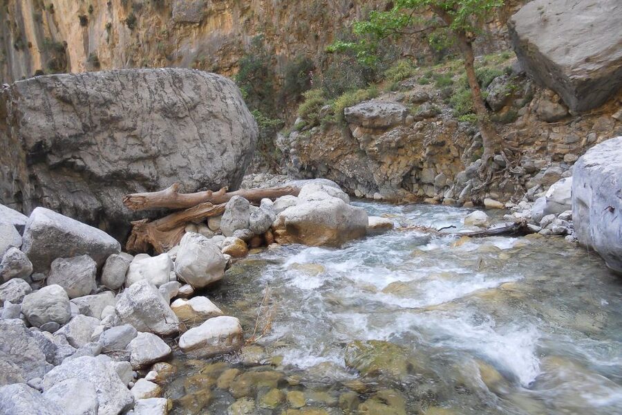 Crete: Samaria Gorge Hiking with transfer and expert Escort - The Omalos-to-Gorge Rhythm: Pace Yourself Like a Pro