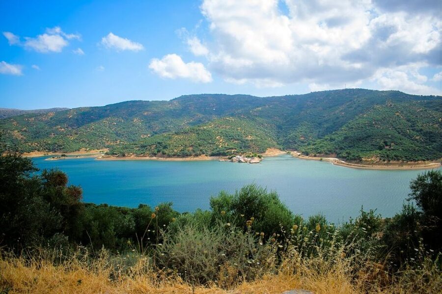 Crete: Sightseeing Day Trip with Cooking Lesson and Lunch - Krasi: Plane Trees Older Than Two Millennia and an Aqueduct Square
