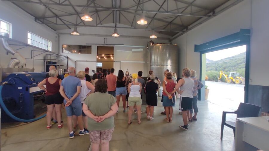 Crete: Sightseeing Day Trip with Cooking Lesson and Lunch - Olive Oil Factory Tour: Learn the Extraction Story, Then Taste Samples