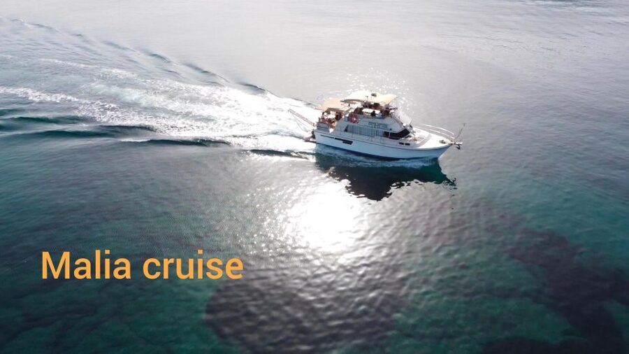Crete: Snorkeling Boat Trip with Lunch and Transfer - Lunch, Drinks, and the Real Food Worth Waiting For