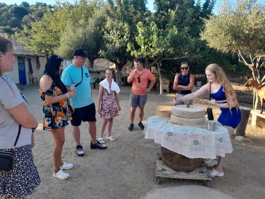 Crete: Sunset Safari - Platanus Tree Stop and the Road Toward Dinner