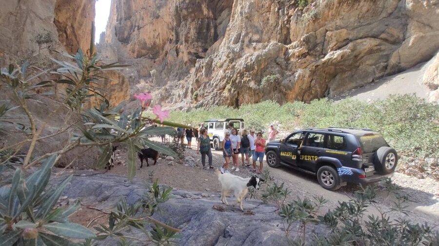 Crete: Trypiti Beach Off-Road South Tour w/ Lunch & Wine - Pickup, Drop-Off, and Vehicle Comfort (What Actually Matters)