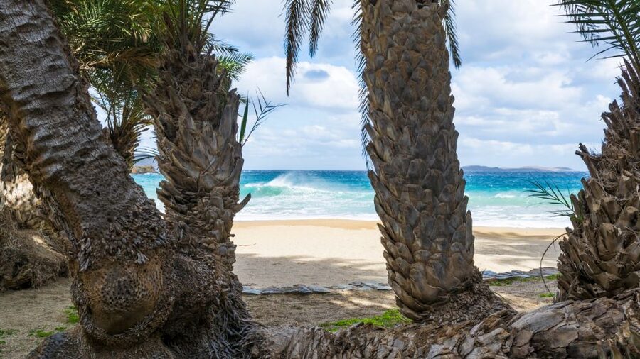 Crete: Vai Palm Forest, Itanos & Erimoupoli Beach, Road Trip - Key highlights in plain sight