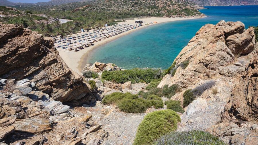 Crete: Vai Palm Forest, Itanos & Erimoupoli Beach, Road Trip - Vai Palm Forest Beach: swim, photos, and sun under date palms