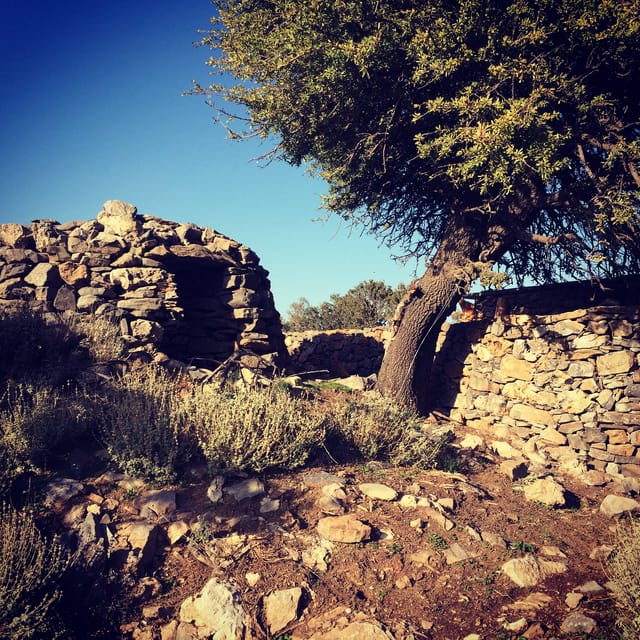 Crete: White Mountains Preserve Day Tour - Village Stops That Feel Like More Than Checkpoints
