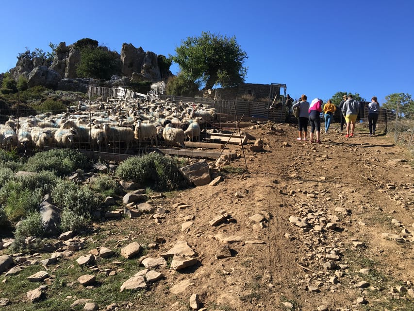 Crete: White Mountains Preserve Day Tour - The Mitato Shepherd Hut, Graviera, and Why It’s Not Just a Photo Stop