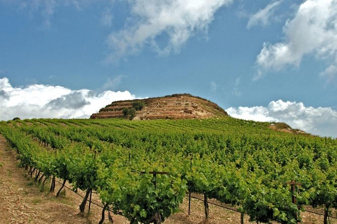 Crete Wine and Olive Oil Tour - Key things to know before you go