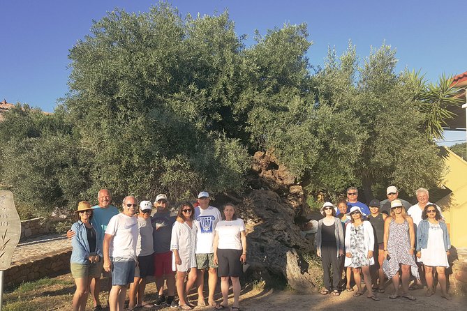 Crete Wine and Olive Oil Tour - What you really get to taste, and how to avoid rushing it