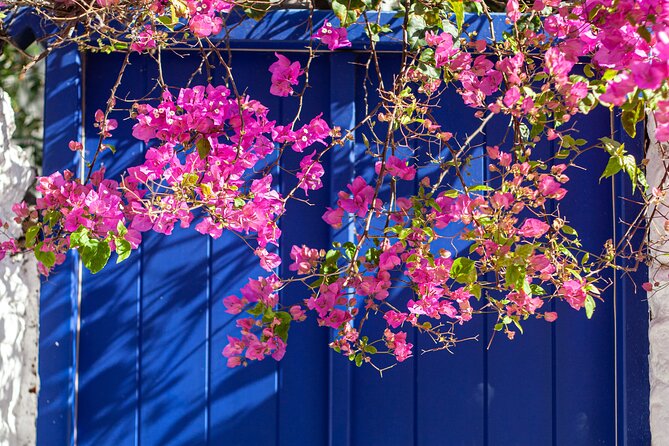 Discover Mykonos in 4 Hours: Beaches, Villages and Town - Key highlights worth your camera roll